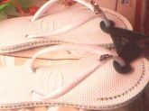 Havaianas de coradas